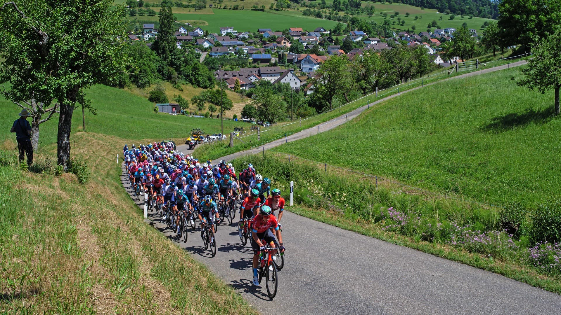 Professionelles Peloton auf Bergstraße